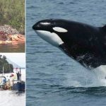 Comunidades Lafkenche llaman a organizarse para cuidar el borde costero bajo el alero de la ley lafkenche