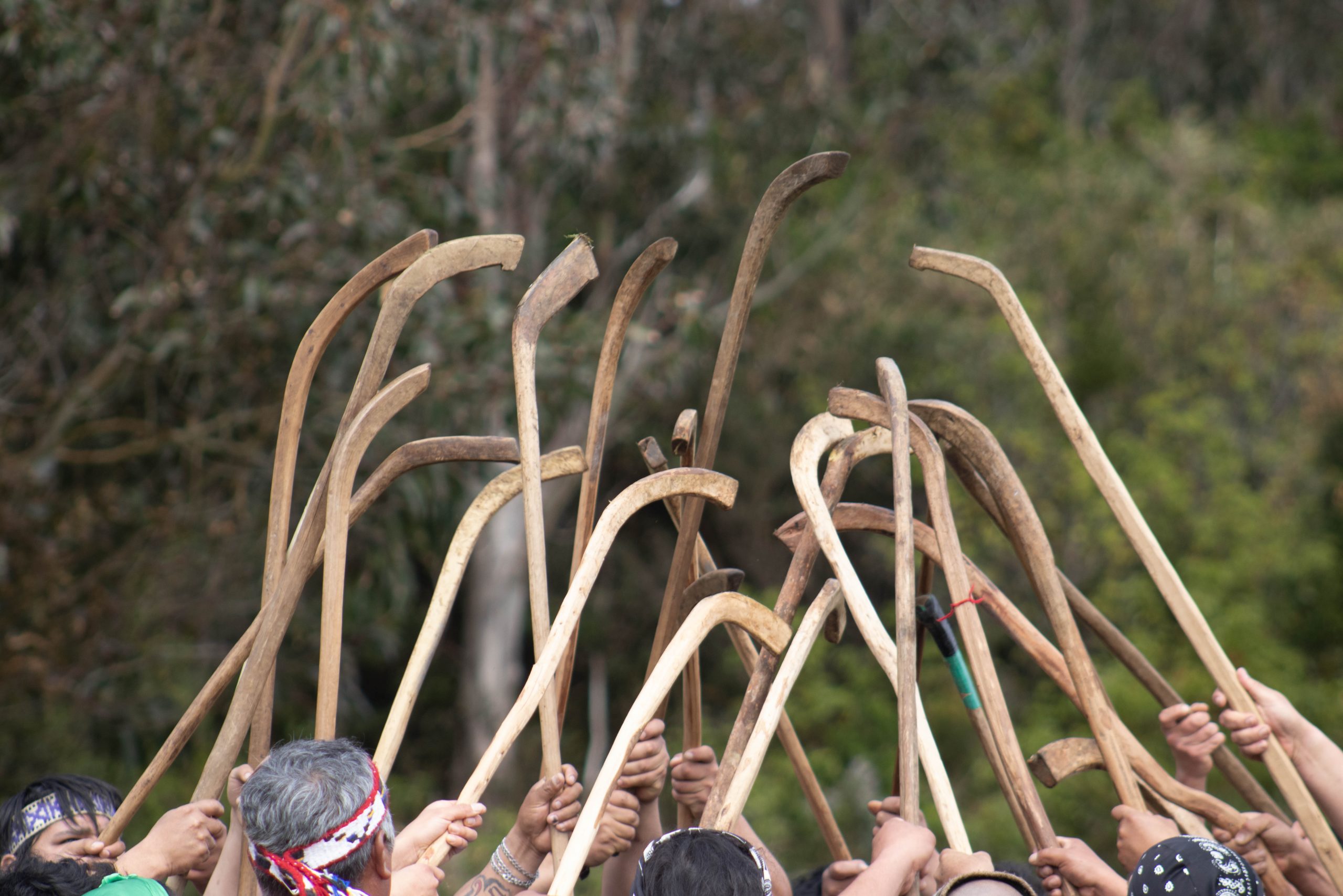 gran encuentro de Palin en Futa Paliwe